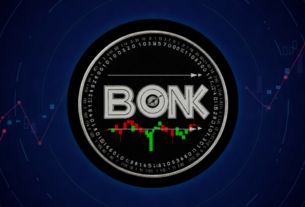 BONK COIN