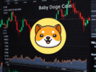 BABY DOGE COIN