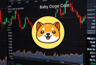 BABY DOGE COIN